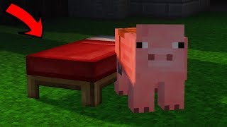 WYGRAŁEM DZIĘKI ŚWINI NA BEDWARS!