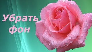 Убрать фон. Как сделать прозрачным фон картинки онлайн. Легкий вариант.