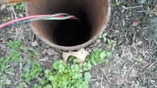 Replace Well Pump in 4 hrs (all 12 videos clips) 100 ft Myers 2ST52-8 by Tatcor.com West Chester, PA