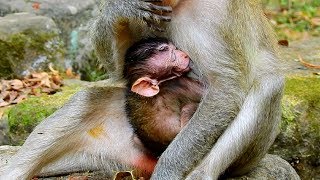 DaKota Newborn Baby From Duches Sleeping So Long Daytime, While Nursing Mother's Milk!