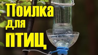 Поилка для птиц своими руками
