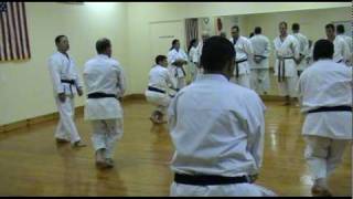 Traditional Shotokan Karate Heian Godan