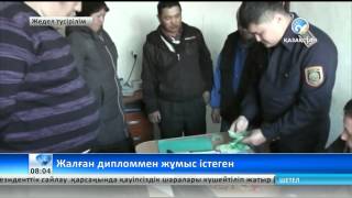Көкпекті ауылындағы балабақша меңгерушісінің дипломы жалған болып шықты