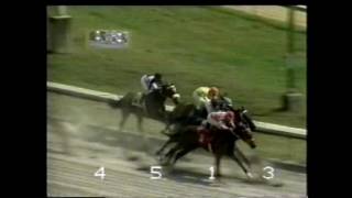 BAILARINA WEST - Vence a Imbuia Pajoquí - 1993