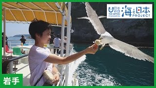 #5 みやこ浄土ヶ浜遊覧船ガイド 横山葵さん  インタビュー｜海と日本PROJECT in 岩手県