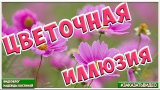 ??? Цветочная иллюзия ВИДЕОФОНЫ | Летние ФУТАЖИ ???