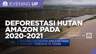 Deforestasi Hutan Amazon pada 2020-2021 Terburuk Selama 15 Tahun Terakhir