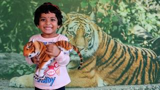 Tiger Toy Talk Show for Kids School Speech Activities