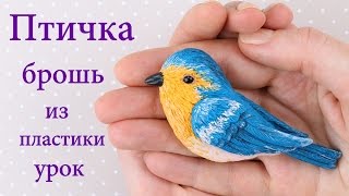 Птичка брошь из полимерной глины FIMO Soft Подробный урок по лепке украшений