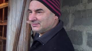 Николаевские голуби. В гостях у Эдуарда Ангеловского г. Пятихатки