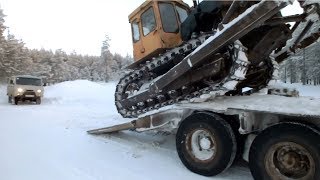 Бульдог Т-130 Перегон в делянку на трале Опять ЯМЗ-238 подклинил...