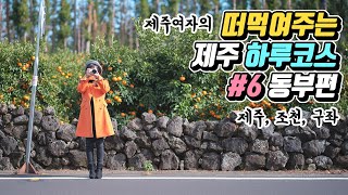 떠먹여주는 제주도 여행 하루코스 #6 겨울 동부편 (제주/조천/구좌)
