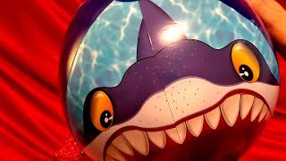 SHARK BEACH BALL INFLATION!!!!