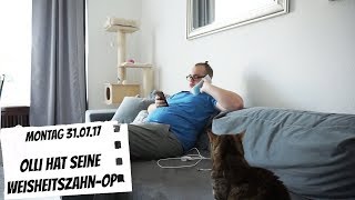 Olli bekommt seine Weisheitszähne raus | Montag 31.07.17 | Daily Vlog | FMA | Mel @ Home