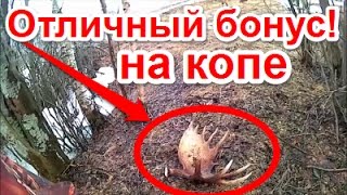 Отличный бонус для кладоискателя!