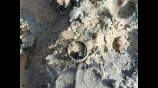Пляжный коп.День колец.Коп 2015.Поиск сокровищ с Minelab Safari.