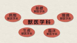麻布大学学部紹介ビデオ：獣医学部