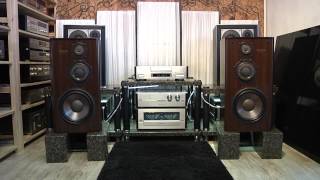 Diatone DS-1000Z