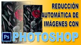 Cómo reducir imágenes en lote con Photoshop en español 2017