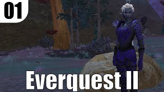 Let's Play Everquest 2 ep1 - New Necromancer