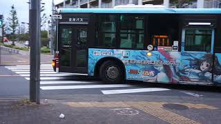2019年東京都立川市　碧志摩メグラッピングバス運行