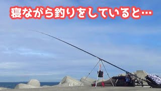 寝ながら泳がせ釣りしてたらどえらいのキタ