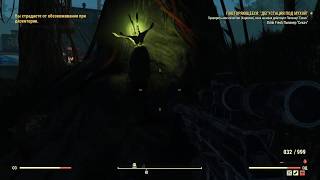 Fallout 76 : Где взять цветок душителя ? Цветет ночью . Событие "сердце болот"