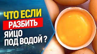 ?Что будет если разбить яйцо под водой ?
