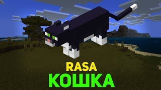 КОШКА (RASA) ПОЁТ КОШКА | MINECRAFT МУЗЫКА