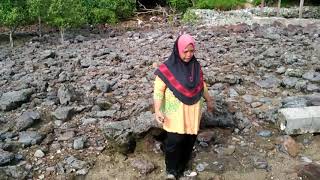 Cari siput