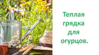 Теплая грядка для огурцов