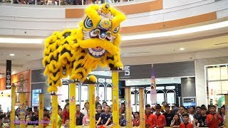 Múa Lân LSR Kwong Ngai 2020 thi Giải Lân Sư Rồng Cup Number 1