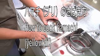 ハマチ（ブリ）のさばき方 How to cook hamachi (yellowtail)　sashimi Japanese food
