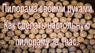 Пилорама своими руками. Как сделать настольную пилораму за 1 час.