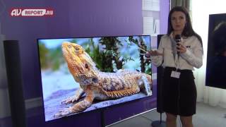 OLED телевизор Loewe на моторизированной опоре на Hi-Fi & High End Show 2017