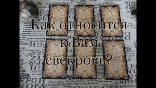 Как к Вам относится свекровь? Общий расклад.