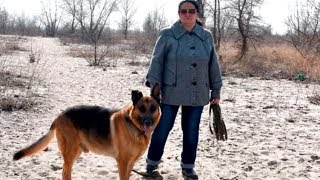НОВОРОЖДЕННУЮ МАЛЫШКУ В ПОЛЕ НАШЛА ЖЕНЩИНА С СОБАКОЙ! ТО, ЧТО СЛУЧИЛОСЬ ДАЛЬШЕ ТРОГАЕТ ДО СЛЕЗ!