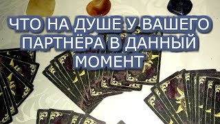 ЧТО НА ДУШЕ У ВАШЕГО ПАРТНЁРА В ДАННЫЙ МОМЕНТ?