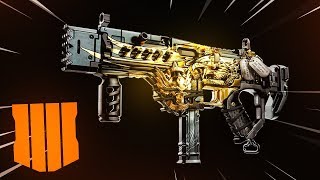 New SIGNATURE WEAPONS in Black Ops 4..