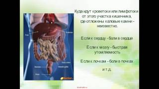 Лучший препарат для похудения без побочных эффектов