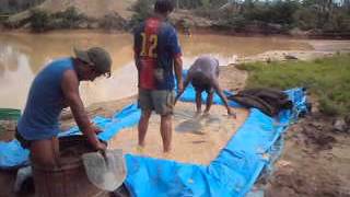 Minería aurífera en Madre de Dios 2015
