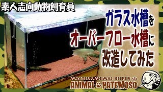 ガラス水槽を自作3重管オーバーフロー水槽に改造してみた【アクアリウム】【熱帯魚】