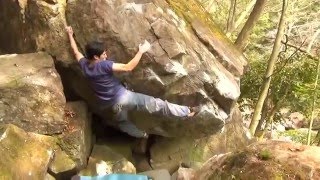 美濃市　フクベボルダー　トリケラトプス　初段
