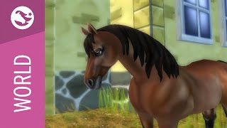 Star Stable World - American Quarter Horse