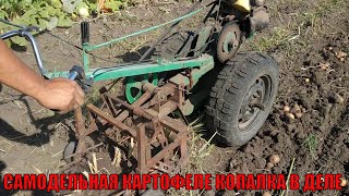 Самодельный мотоблок с самодельной картофеле копалкой в деле!!