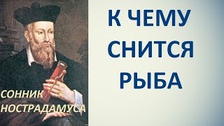 К чему снится рыба. Сонник Нострадамуса. Толкование снов.