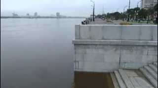 Amur 08 08 2013