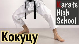 Кокуцу дачи. Работа бёдер. Применение в поединке.