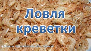 Ловля креветки