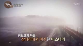 해상왕 장보고의 섬，완도_박종인의 땅의 역사 10회 예고